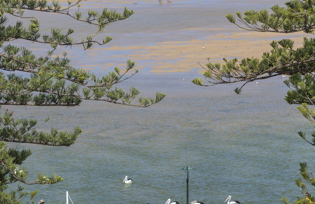 Nesuto The Entrance Apartments - Foto 51