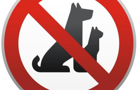 Morska Grota - Foto 53