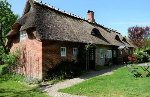 Reetdachkate Fuchsgraben - naturnah & stilvoll mit Wald-Sauna - Foto 50