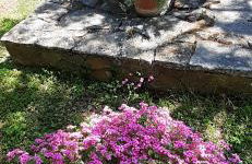 Lennida Studio Apartman with free parking - Foto 42