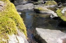 Tiny-Hohenberg - Foto 13