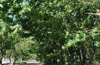 Ático Rosita en Camino de Santiago - Foto 19