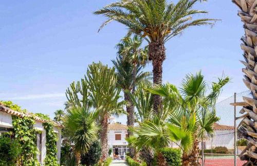 Bungalow Pink Blue - Foto 49