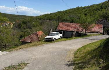 Seoska idila, Krivići - Foto 9