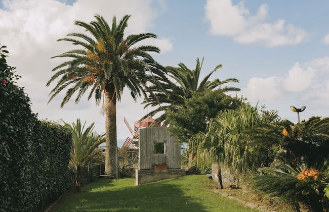 Moinho das Feteiras - Foto 39