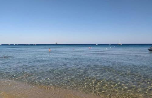 Fisky House - Foto 32