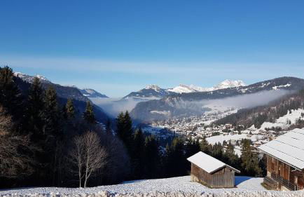 Chalet des joux - Foto 26