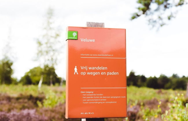 Comfortable Bungalow on the Veluwe - Photo 23