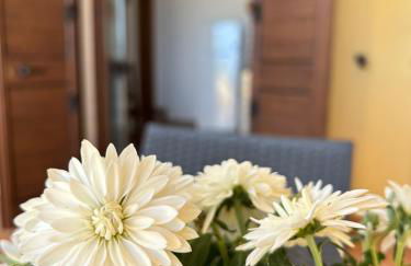 Case dell' Acqua - Foto 25