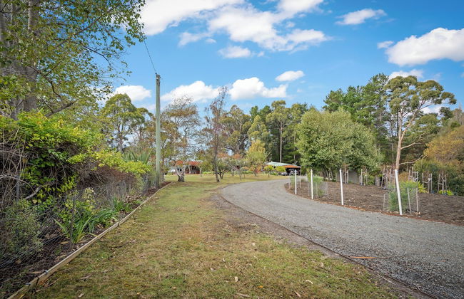 Blissful Birchs Bay - Foto 49