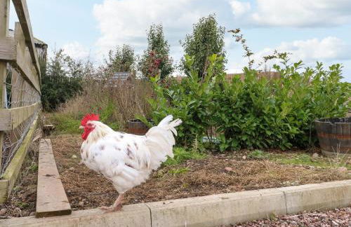 The Stable - Foto 30