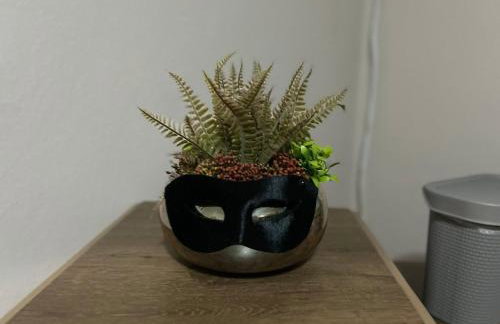 Apartamento Aconchegante Central (Borboleta) - Foto 29