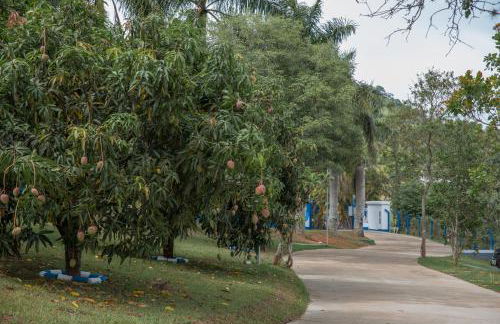 Chácara das Araras - Foto 7