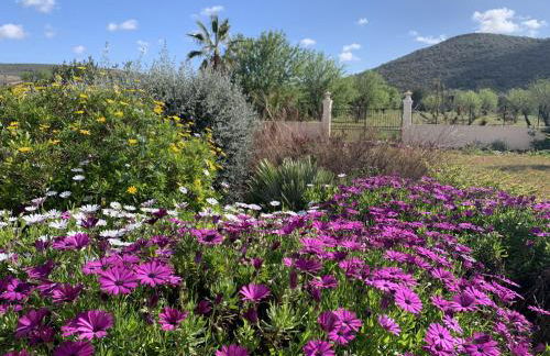 Casa do Pomar by Portucasa - Foto 101