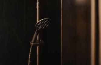 Homnest - Clairiere des Animaux - 1h de Toulouse - Photo 14