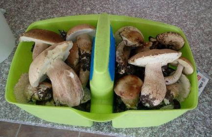 Miła Dolina - Foto 41