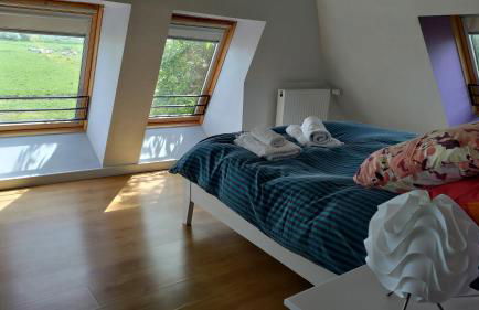 Au coeur des marais - Foto 4