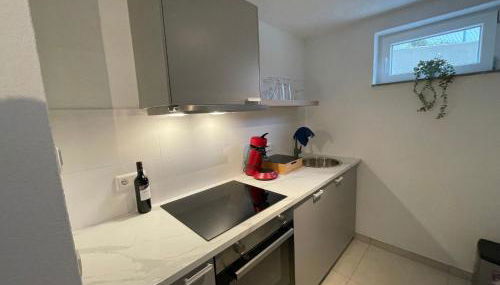 Premium-Apartment, 4 Betten, Nahe Ulm für Familien und Gruppen,Hund - Foto 4