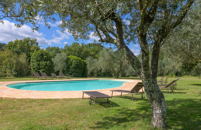 Il Piccione - Foto 8