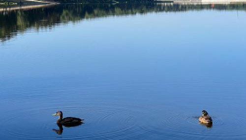 Family & Business Sauna Tężnia Apartments No18 Leśny nad Zalewem Cedzyna -1 Bedroom with Private Sauna, Bath with Hydromassage , Terrace, Parking, Catering Options - Foto 5