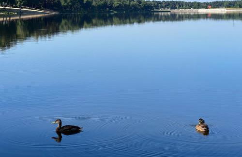 Family & Business Sauna Apartments No1 Leśny nad Zalewem Cedzyna Unikat - 3 Bedroom with Private Sauna, Bath with Hydromassage, Terrace, Garage, Catering Options - Foto 14