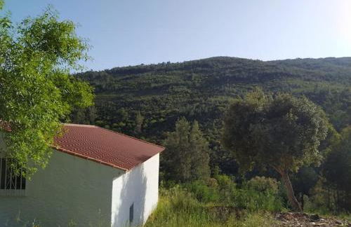 Casa da Volta - Alentejo - S. Julião - Foto 33