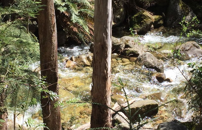 Ironstone Romantic Couples Retreat - Photo 11