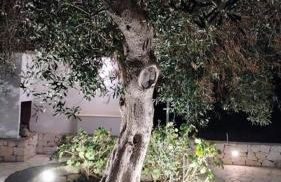 Anglica's Suite - Foto 31