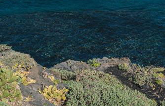 Villa Vista, tu suite frente al mar en El Hierro - Foto 38