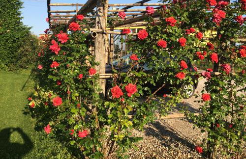 Corte Breda Agriturismo Bed & Breakfast - Foto 119