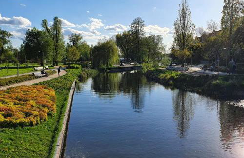 Apartamenty Kąpielowa Złoty - Foto 16