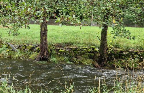 Holzhaus mit Kamin - Am Forellenfluss - Foto 29