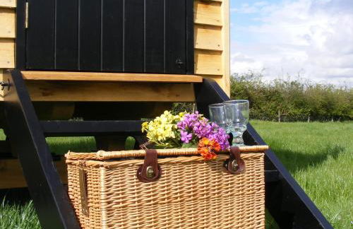 Marshwood Farm B&B and Shepherds Hut - Foto 10