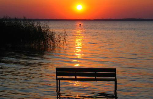 Feriendorf Boeker Mühle - Foto 14