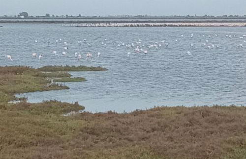 La Daurada - Foto 25