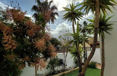 House with a tropical garden - Foto 22