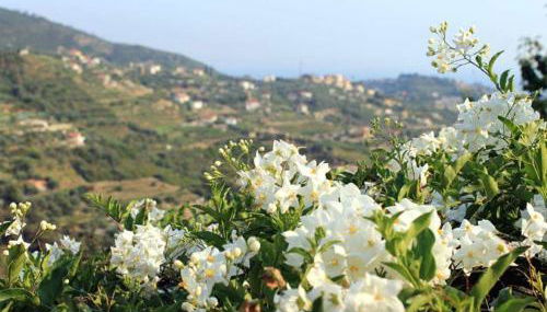 Agriturismo da Luì - Foto 2