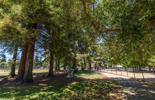 Palo Alto 1br w gym pool wd nr Stanford SFO-1260 - Foto 39