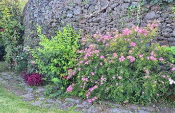 Quinta da Tilia Boutique Retreat - Photo 27