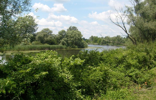Riverside House With Hot Tub - Photo 33