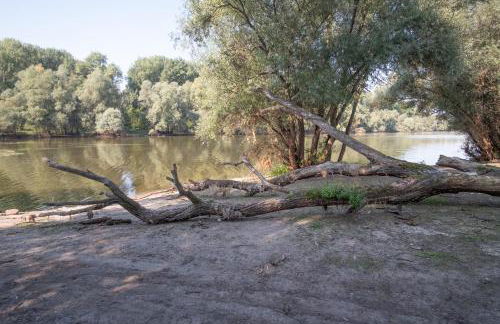 Schöne 2 Zimmerwohnung mit UHD-TV, großem Balkon und Hängematte - Foto 19