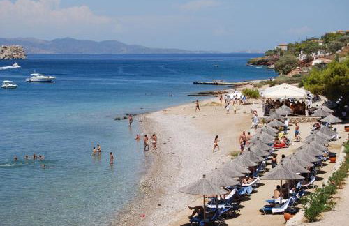 Hydra Erato - Foto 27