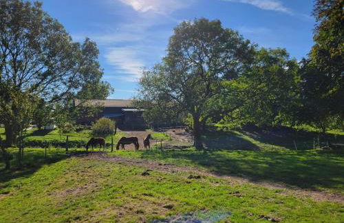 Ruge Apartment - Foto 10