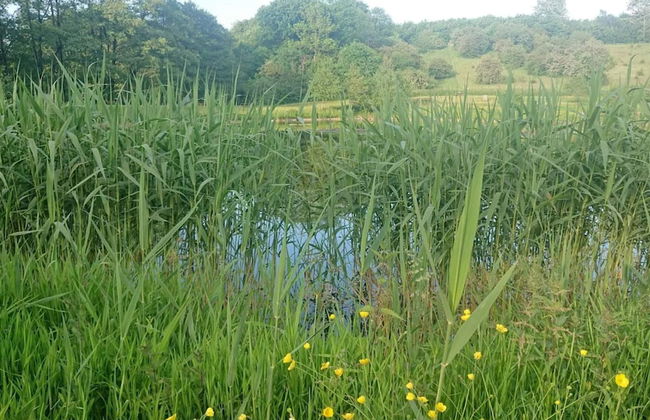 Luxury Retreat by Asbolholm - By Traum Ferienwohnungen - Foto 20