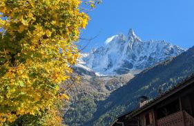 Bright, warm 2BR 2min to gondola, private garden - Foto 14