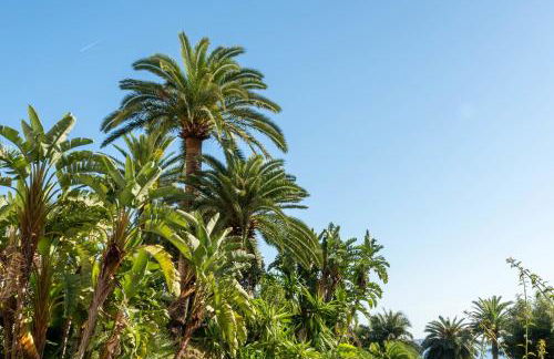 Côte d’Azur Sea View Tennis Beach Access - Foto 33