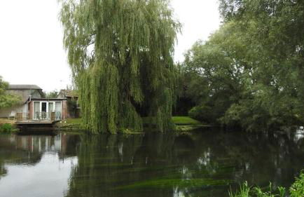 Riverside Studio - Foto 40