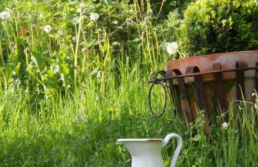 Haus am See in Kleinzerlang - Foto 18