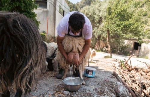 House Of Ntounias ΙΙ - Photo 10