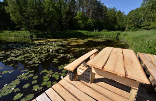 Agrodomek nad stawem - Foto 13